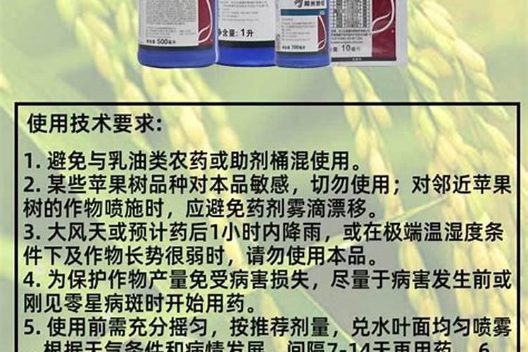 阿米妙收的最佳搭配