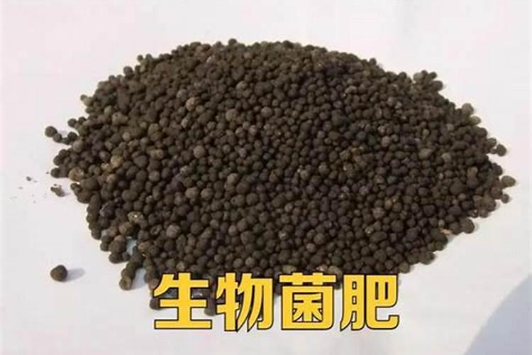 有机肥和菌肥哪个好