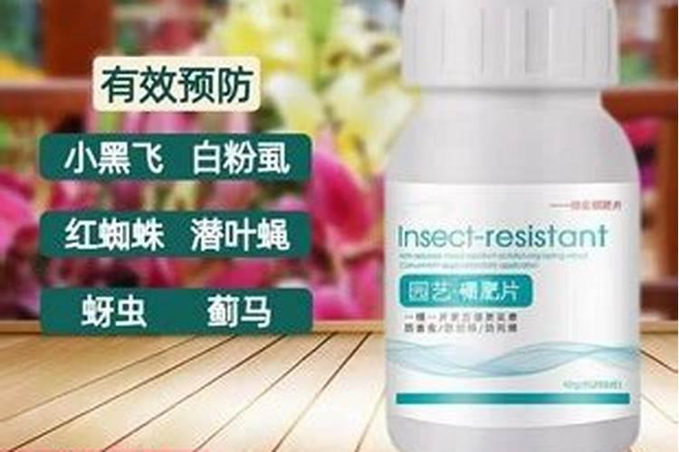 家庭天然硼肥有哪些