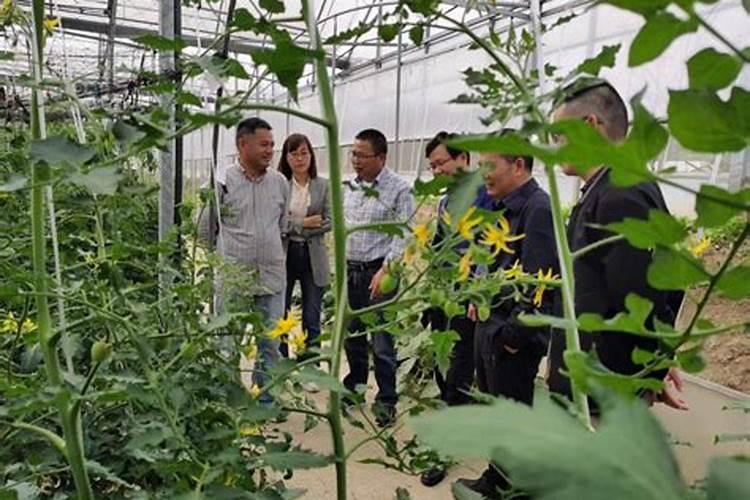 清徐县农业局机构设置