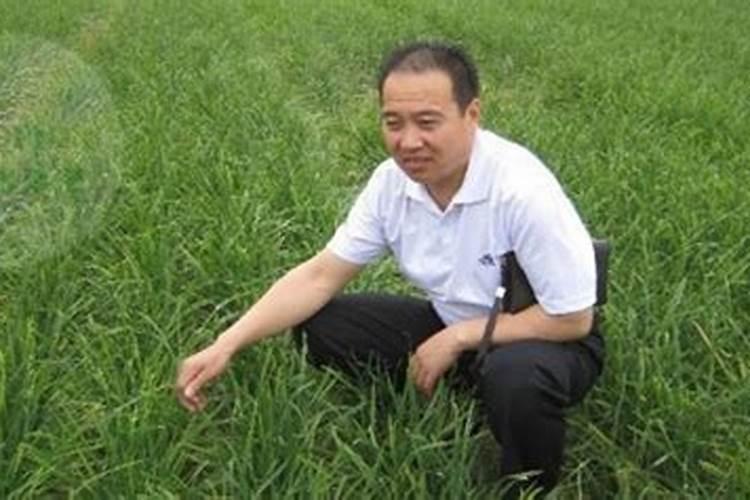 化肥农药好卖吗