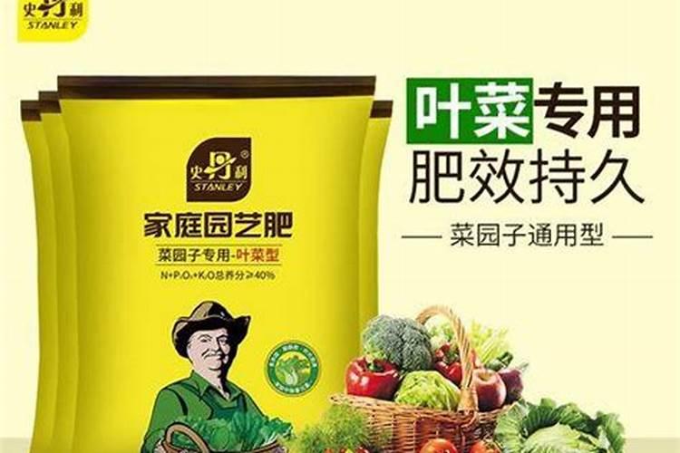 万年青好养活吗 万年青怎么施肥长得好