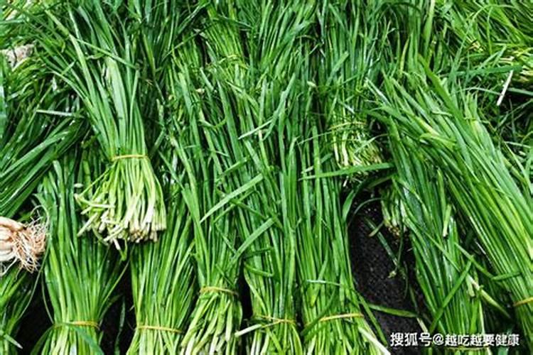 韭菜锈病防治用药窍门,都有哪些？