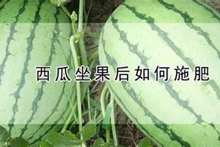 西瓜结果时需要施什么肥料