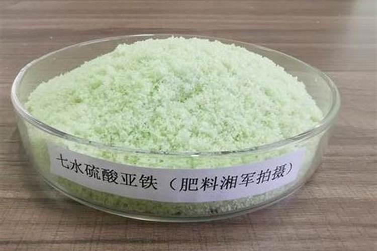 君子兰可以硫酸亚铁和有机肥一起施吗