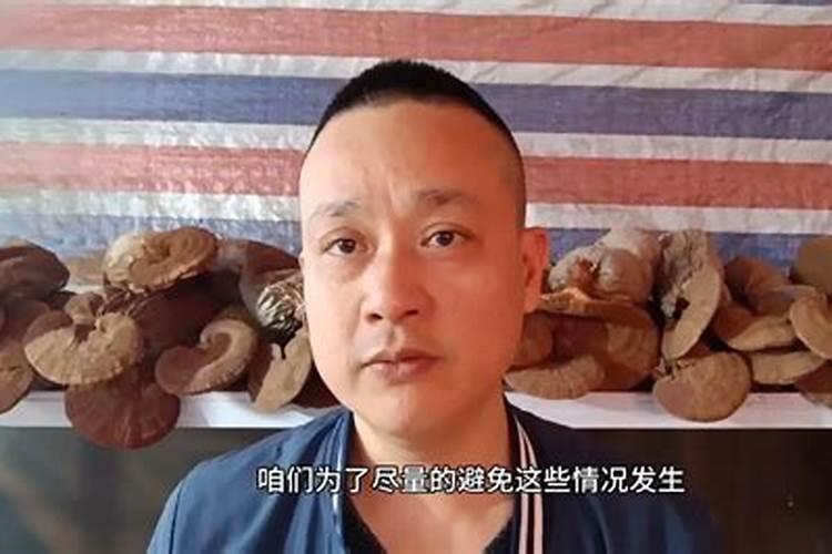 竹皇草的种植技术？什么时候种？