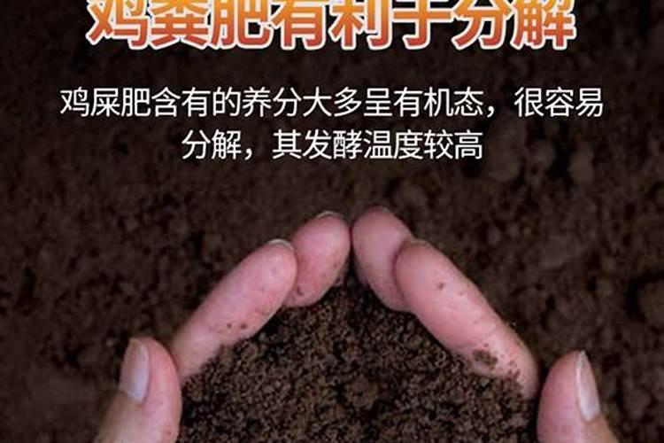 肥料怎么做