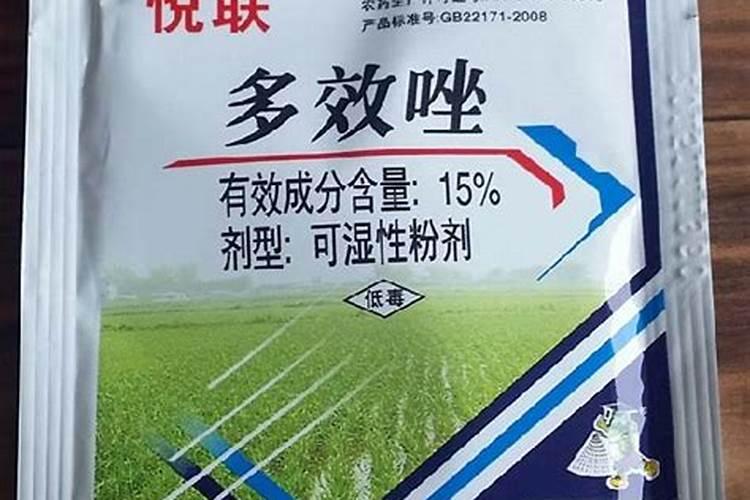 柑橘挂果树喷多效唑控晚秋梢会影响果子彭大吗？
