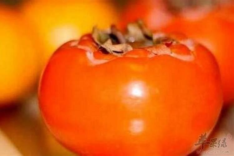 西红柿种植技术及病害防治