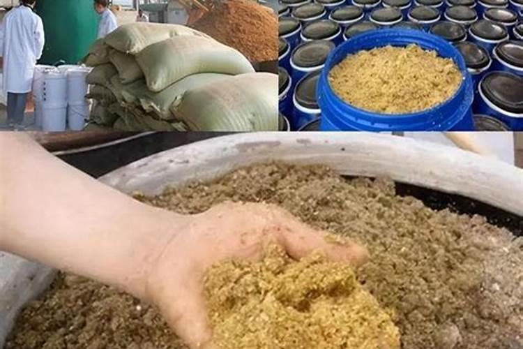 牛粪怎么发酵成有机肥