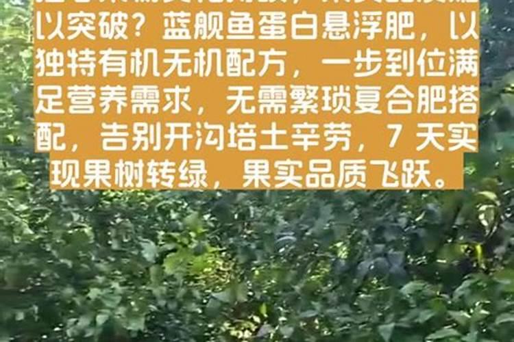 母乳性腹泻添加辅食会好转吗