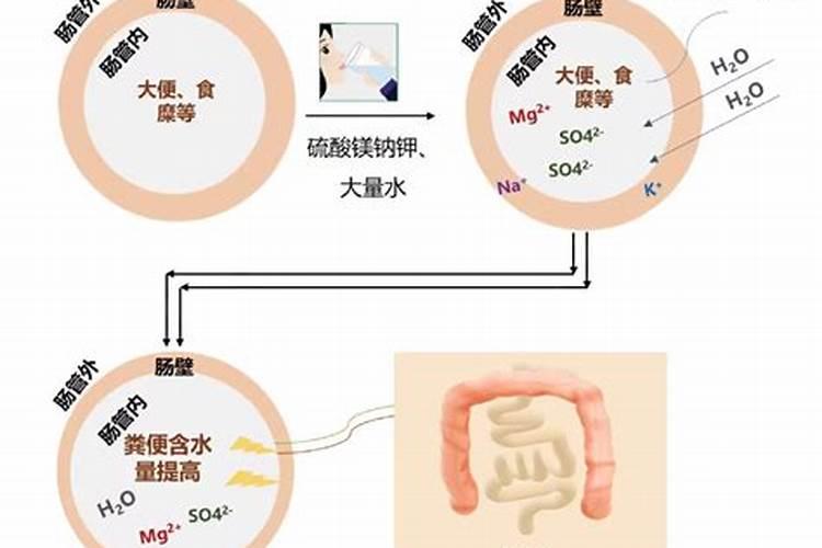 硫酸钾镁肥主要功效