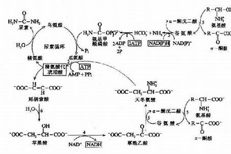 水溶肥和化肥的区别