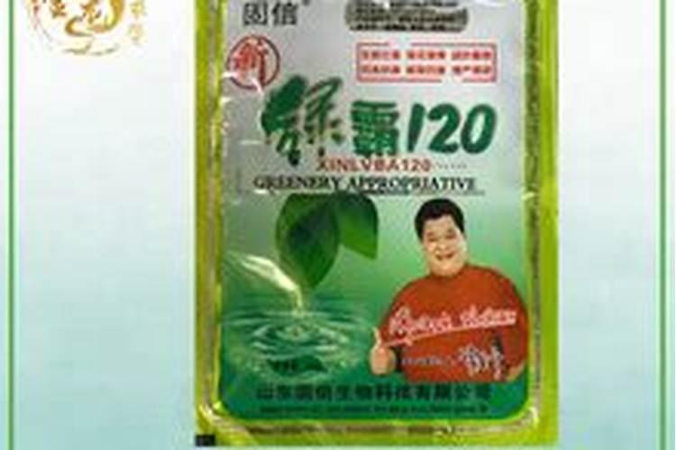 荔枝成花形势好警惕冷雨难成果