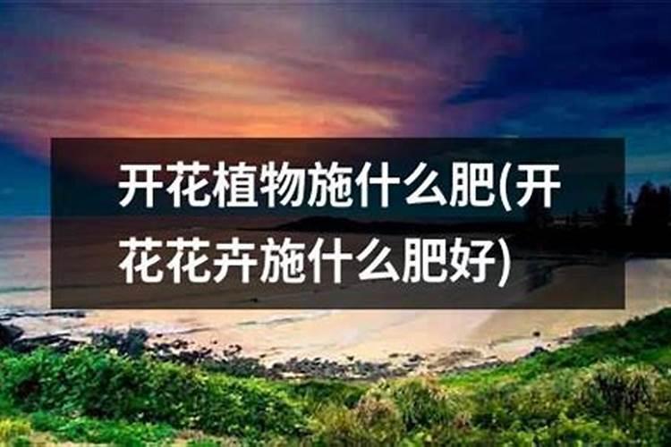 花生开花期要施什么肥花生开花期怎么施肥