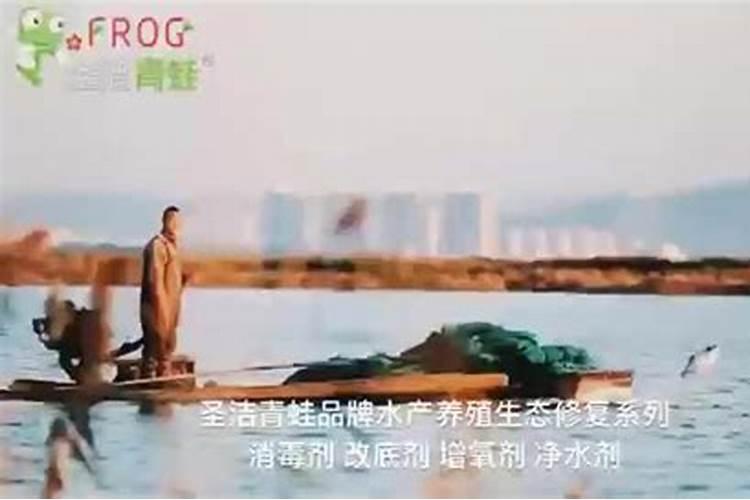 夏季河蟹爬坡死了怎么回事
