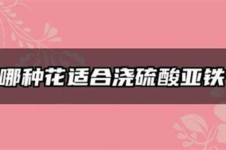 适合茉莉的花肥有哪些(简述茉莉花使用的肥料)