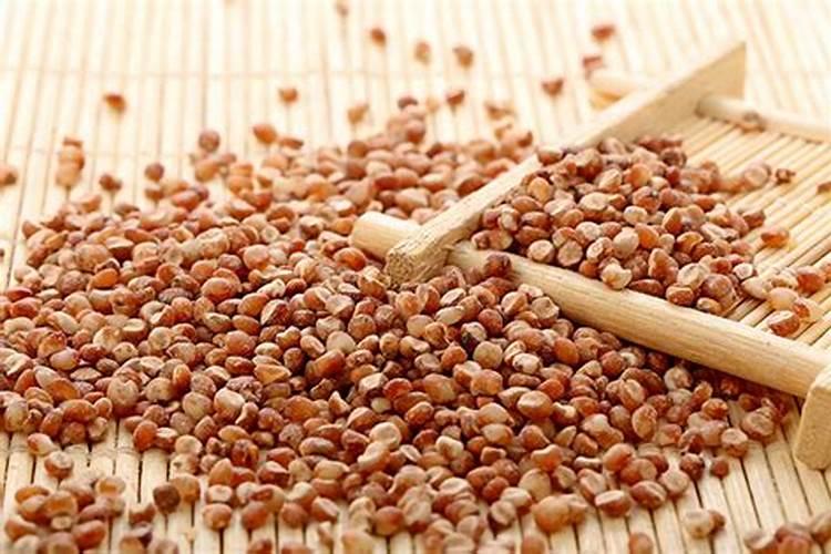 无核白葡萄用赤霉素前应该浇水吗？葡萄膨大期不能缺水,不然大小粒不均...