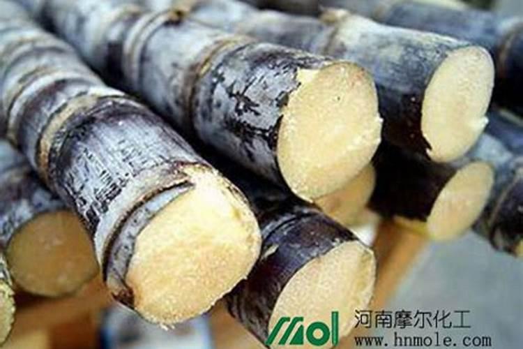 乐果打多了石榴树黄叶怎么办？