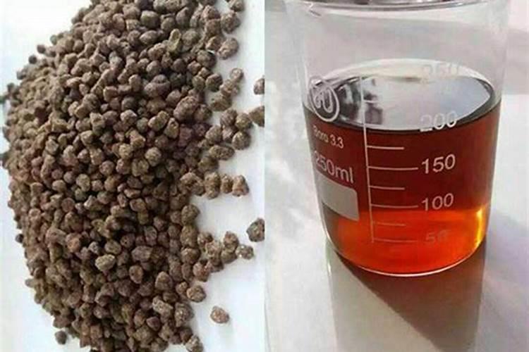 茶花叶子边缘变成褐色并掉落怎么办？