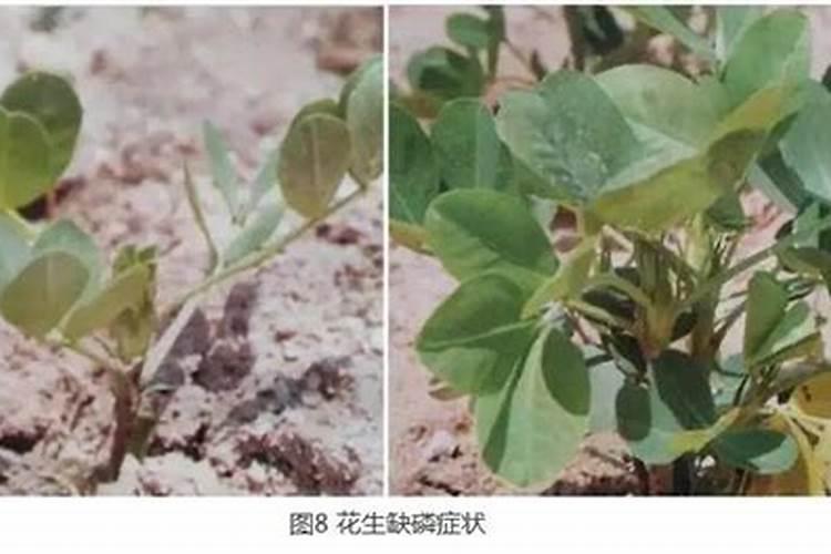 环评工程师污水处理技术答疑精选(27)