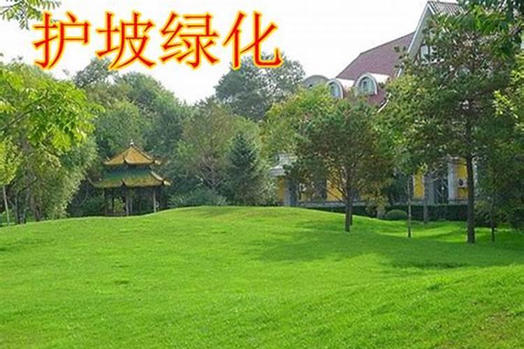 果岭草混播的草坪用什么肥料合适