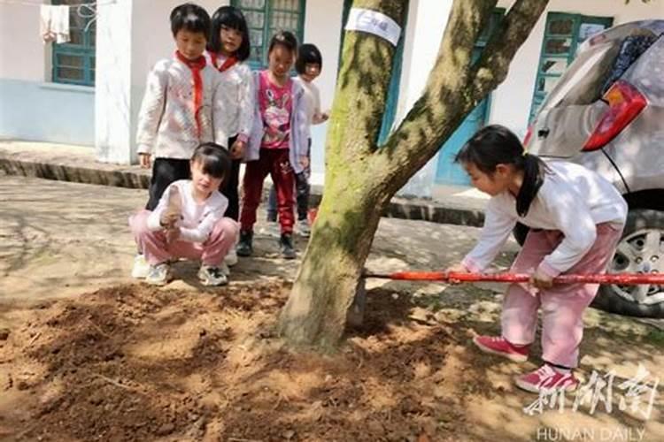 苹果树钙肥可不可以和其他肥料混用？