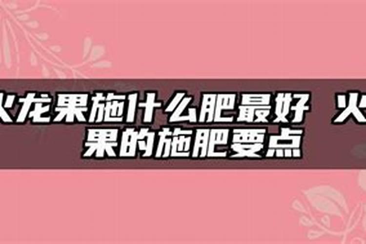 火龙果开花结果时如何施肥会更甜