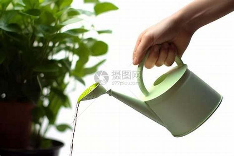 硼肥的用量、作用及使用方法
