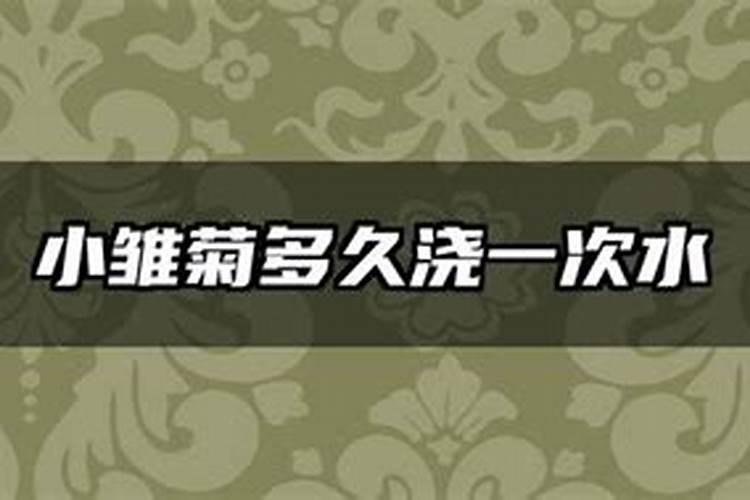 柔比舒尿裤是正规厂家吗