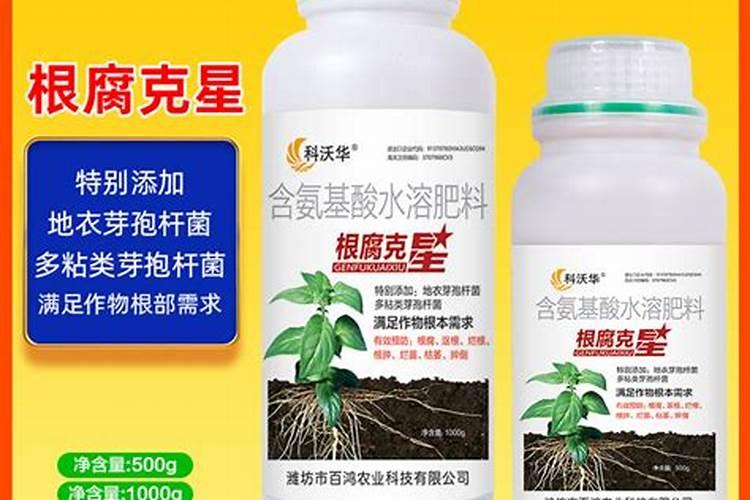 水溶肥是什么肥料
