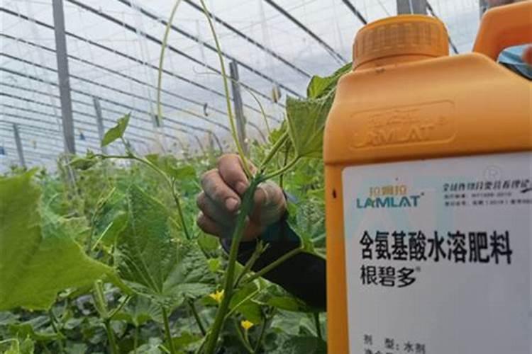 国内氨基酸水溶肥生产厂家有哪些？