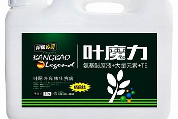 水溶肥十大名牌,摩力水溶肥效果极好