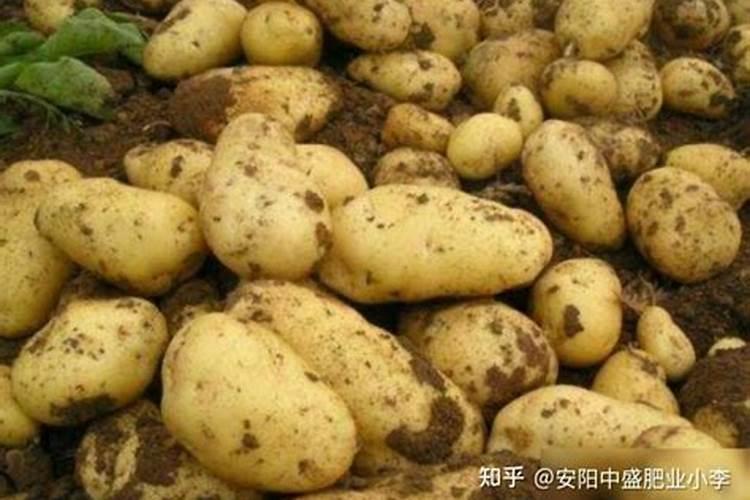 施肥注意事项及方法 施肥需要注意什么