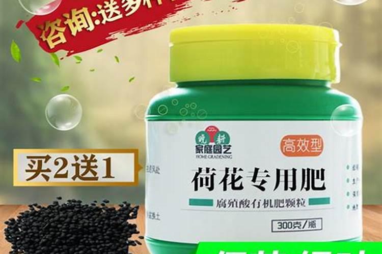 荷花花肥制作与使用方法