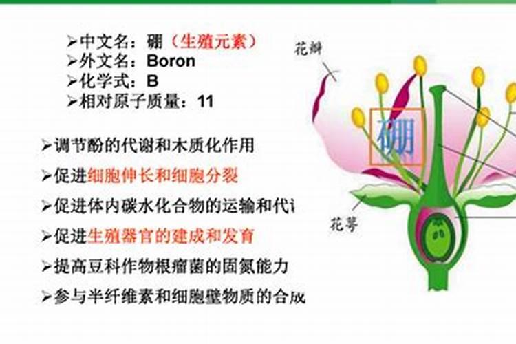 郑州长森作物保护有限公司怎么样？