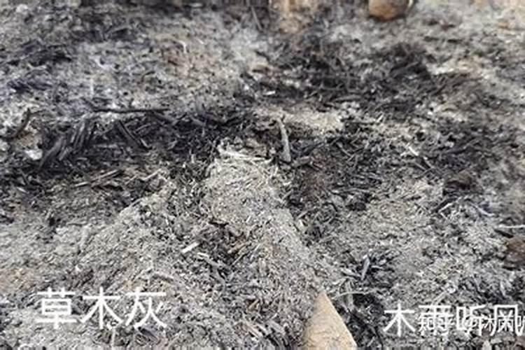 草木灰为什么不能与下列化肥混用