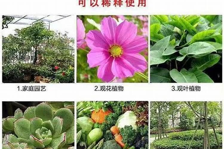甘肃叶林环保科技有限公司怎么样？