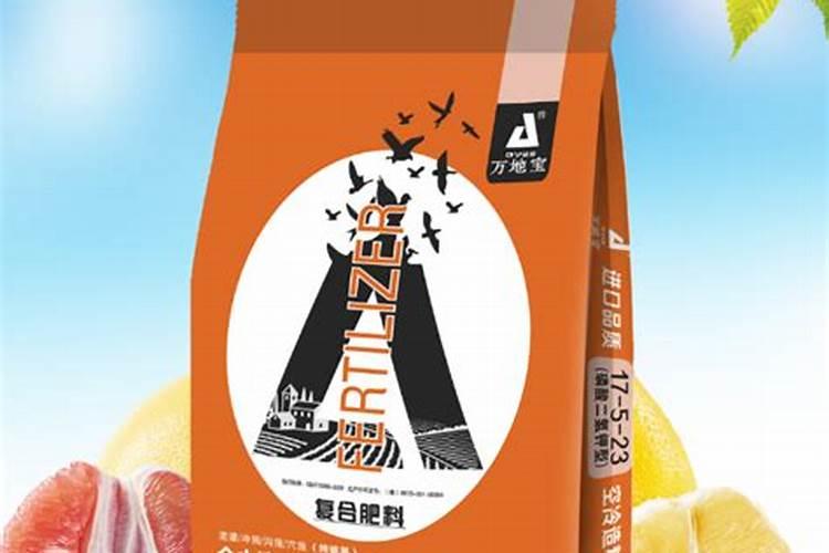大块头是什么意思