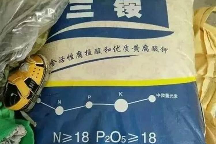 有机肥的市场有多大