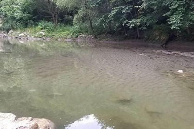河里的淤泥适合水培种菜吗