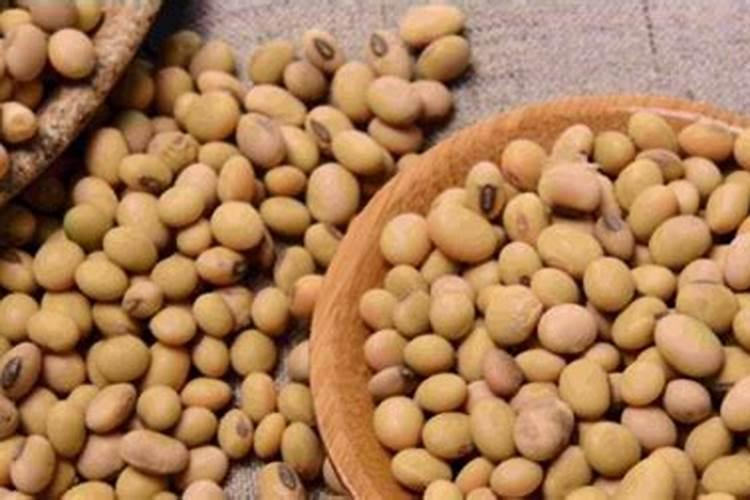 【化肥知识百科】化肥的种类有哪些 化学肥料知识大全