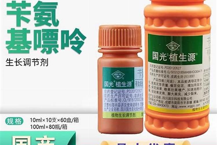 麦茬小辣椒该怎么种植