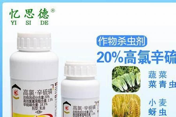 玉米钻心虫用什么药最好