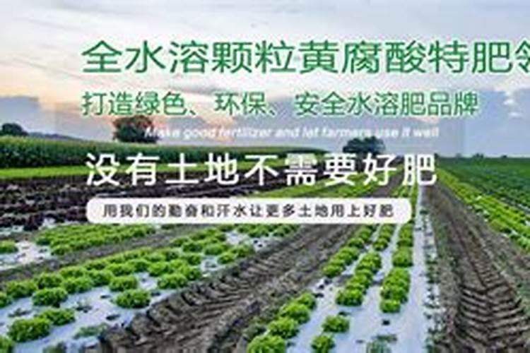 水溶肥的执行标准是怎么标的