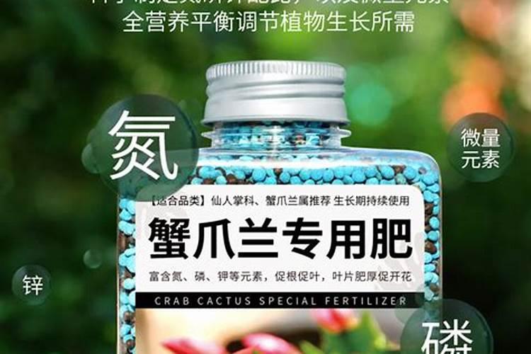 养花可以用有机肥颗粒肥吗(花卉有机肥多久施肥一次)