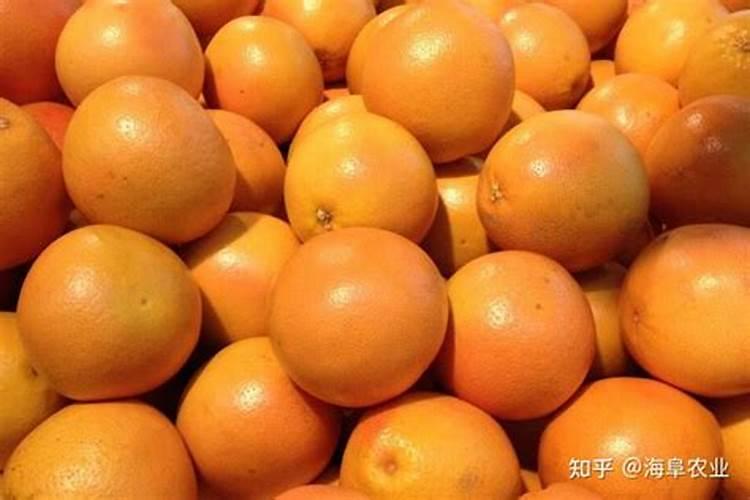 葡萄柚采摘后怎么样施肥？