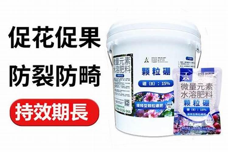 老是买到假的那7种肥料都是啥,如何才能不踩坑？