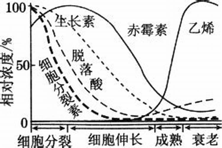膨果期5大禁忌!第3条90%人踩坑,难怪果子又小又裂