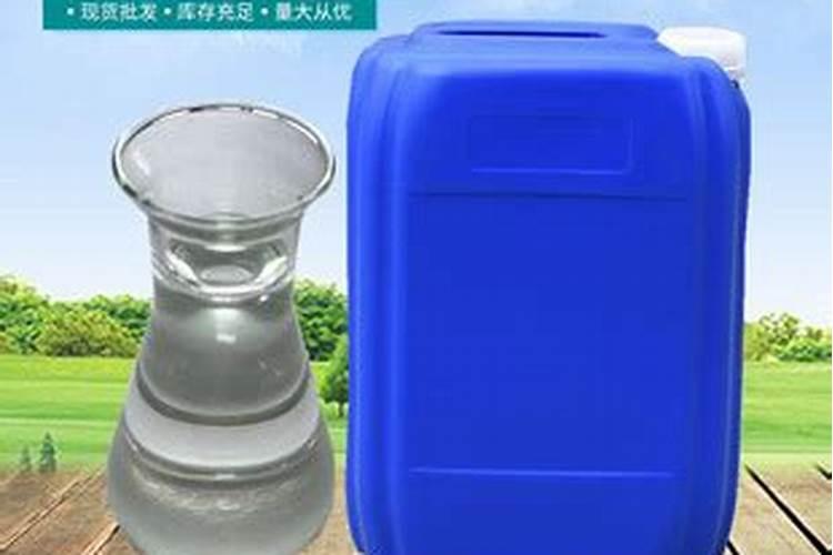 盆栽如何清洗叶面